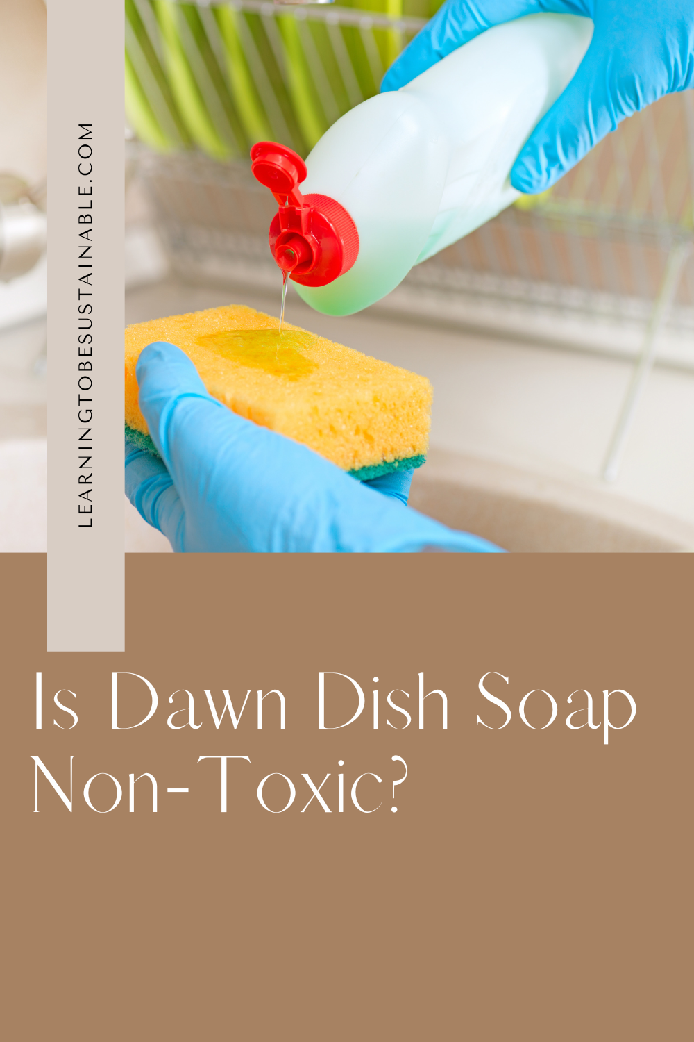 Is Dawn Dish Soap NonToxic? Learning To Be Sustainable